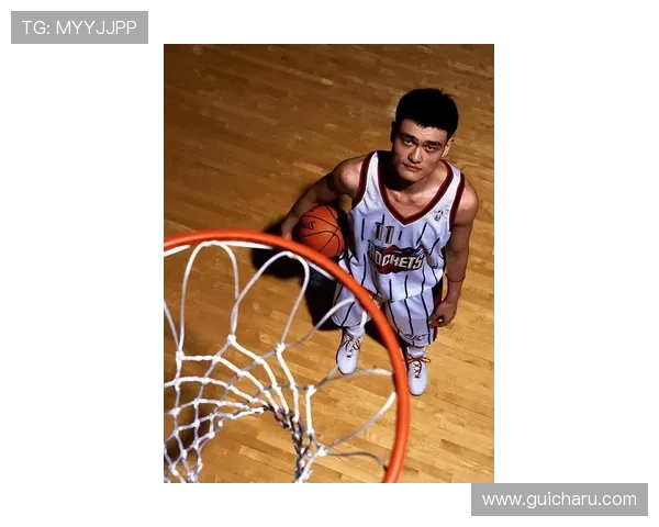 姚明的传奇篮球生涯与百数表的完美结合探索